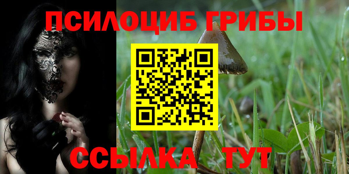 Галлюциногенные грибы GOLDEN TEACHER Краснокаменск